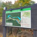 이서면사무소 | 76. 무등산국립공원 도원야영장 캠핑후기 데크정보