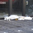 화성세차장 이미지