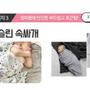 로얄소프트 이미지