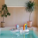 소망일다 이미지