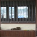 엘리트 당구장 이미지