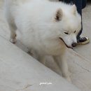 보름닭집 이미지