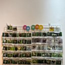 동상주IC충전소 | [공지] 대구 강아지 호텔 가두지 않고 24시간 상주하는 곳