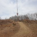 서천 남산성 이미지