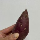 봉선청과 이미지