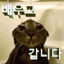 주정차71 | 생존, 운전면허 취득, 웨이트 시작 _ [명학자동차운전전문학원 후기]