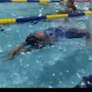 키즈웨일즈 이미지