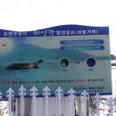용소 태양광발전소 네이버블로그