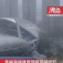 독수리체육관 이미지