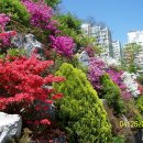 동산동신 이미지