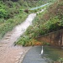 위례약수 이미지