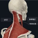 지우한의원 이미지