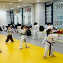 품다태권도장 이미지