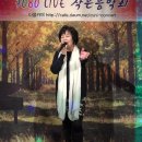 가수 김혜란-야래향-7080 LIVE 작은 음악회 제5회 힐링콘서트20161119 이미지