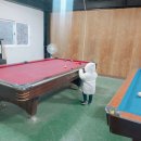 숲속 당구 이미지