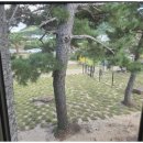 살랑제주 이미지