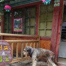 강산애 이미지