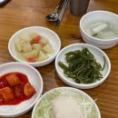 별법동태탕 왕해물찜 티스토리