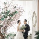 제제스튜디오 사하점 이미지