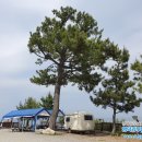 영덕바닷가솔밭펜션 이미지