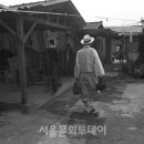 장터이야기 이미지