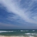 해오름민박 | 주문진 맛집 내 돈 내산 해오름자연산횟집 물회+덮밥세트 솔직후기 강릉 주문진 횟집 추천