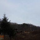 여우바라기 이미지