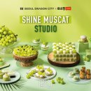 샤인트래블 이미지