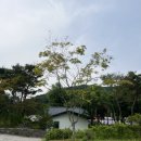 리스테이펜션 | 가평 리스테이펜션 Stay B 감성숙소 후기(경기근교계곡펜션)