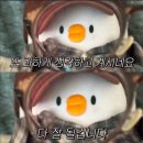 행복 반 아쉬움 반 4월도 끝