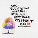 씨 뿌리는자 비유 (마13:1~17) 이미지