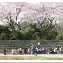 구공설운동장 이미지