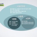 열공성 뇌경색의 질병코드는 도대체 몇개인가요? I63, I67, I69, G45, G46, R42, R90 이미지