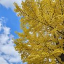 새재산버섯식당 이미지