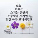 알파고공인중개사사무소 이미지