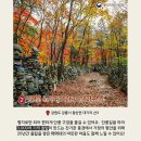 삼천목장 이미지