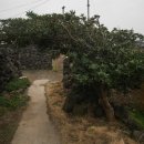 함덕산티아고게스트하우스 이미지