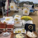 반계초등학교 | 가을 끝판왕! 원주 반계리 은행나무, 신성한 기운에 홀리다(11월08일 후기)