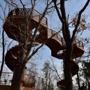 수락산길 | 2022-06-17(금) 당뇨92일 - 서울둘레길 8,1코스