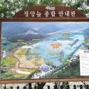 정양늪생태공원 이미지