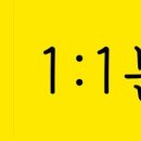 연필스케치와 꽃그림 이미지