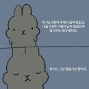 GPT 유료버전 쓰면 삶의 질이 달라진다🎶