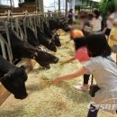 드림목장 이미지