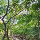 곤지암리조트 사우나 이미지