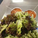 정촌식당 네이버블로그