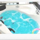 까치와 산토리나 이미지