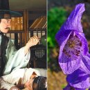 중앙개발㈜ 이미지