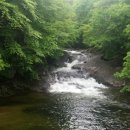 무주해바라기펜션호스텔 이미지