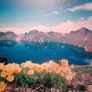 동산비사벌 이미지