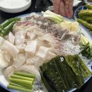 완도막회집